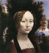 Portrait of Ginevra de Benci Leonardo Da Vinci